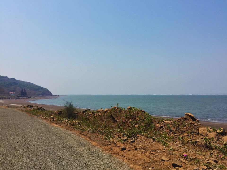 Photo of Velas, Maharashtra, India by AtharVa LeLe