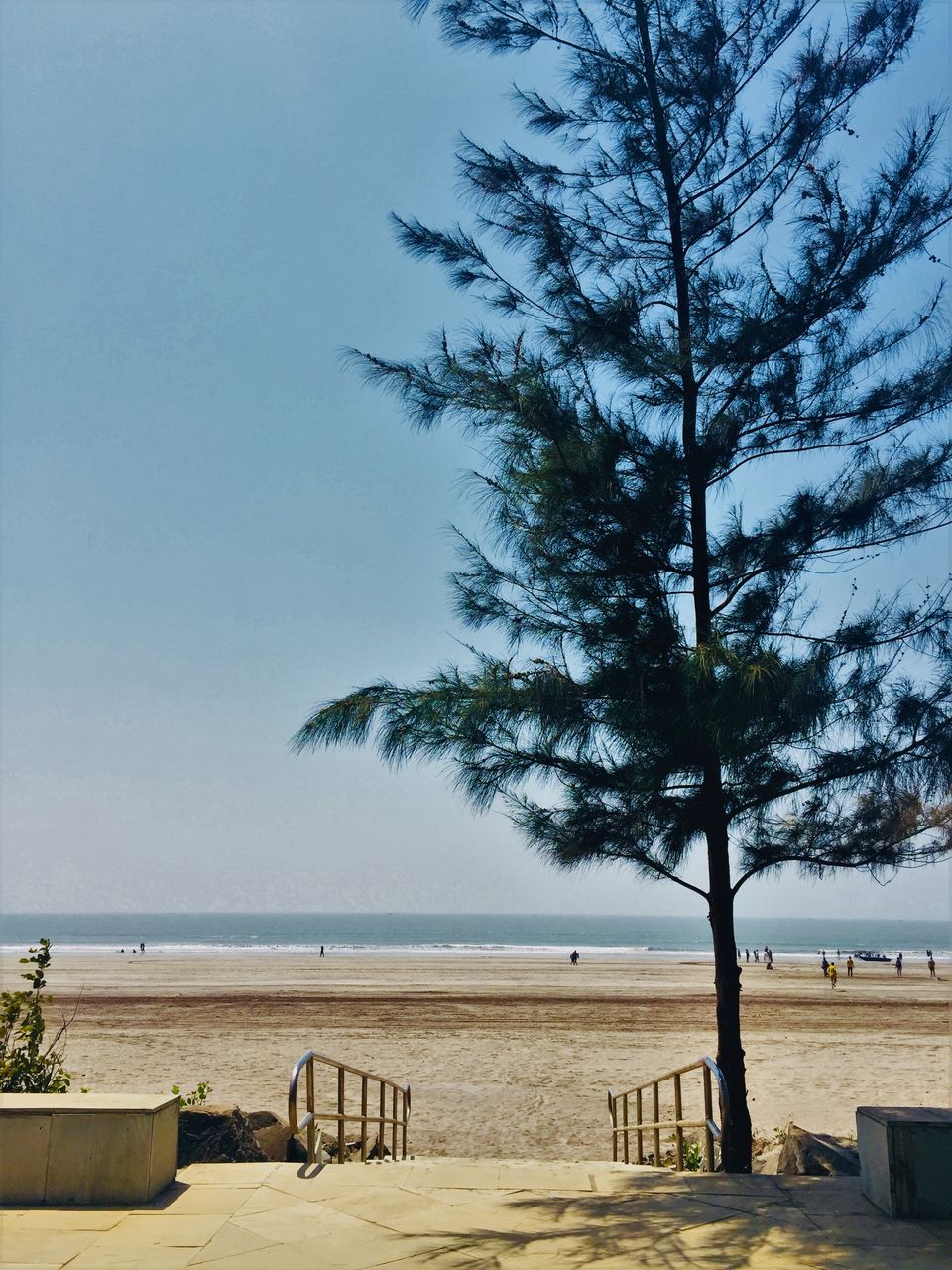 Photo of These Coastal Roads just hours drive from Mumbai should be on your"to do list"pronto!#offbeatgetaway by AtharVa LeLe