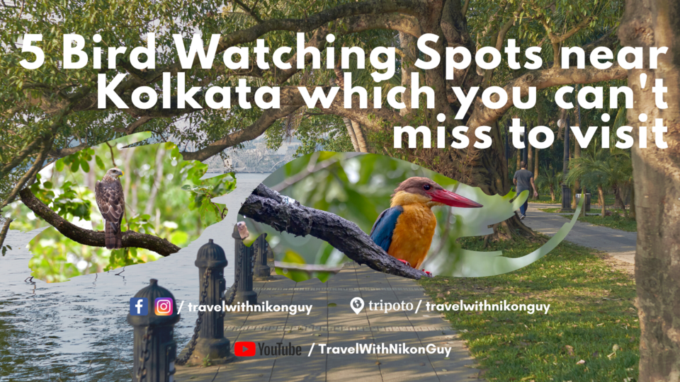 Photo of 5 Bird Watching Spots near Kolkata which you can't miss to visit by Sumit Majumdar