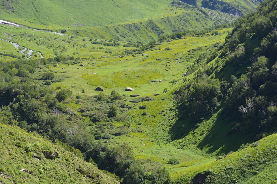 Photo of Heavenly beauty – Valley of flowers and Hemkunt Sahib 16/25 by Shakti Chauhan