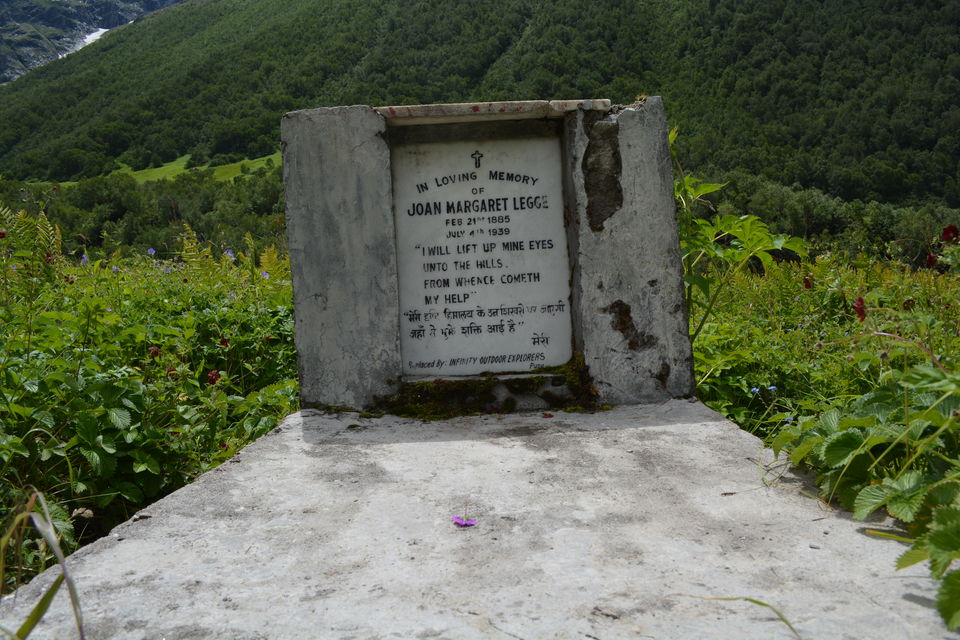 Photo of Heavenly beauty – Valley of flowers and Hemkunt Sahib 18/25 by Shakti Chauhan