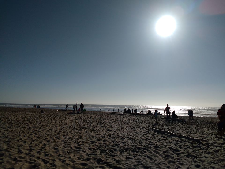 Photo of 3 days, Bliss in Oregon. #travelguideUSA 11/17 by Shakti Chauhan