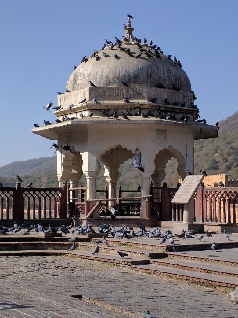Photo of Amer Fort, Amer, Jaipur, Rajasthan, India by Shakti Chauhan