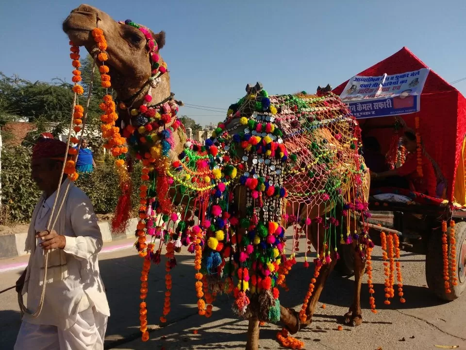 Photo of Pushkar Lake, Pushkar, Rajasthan, India by Shakti Chauhan