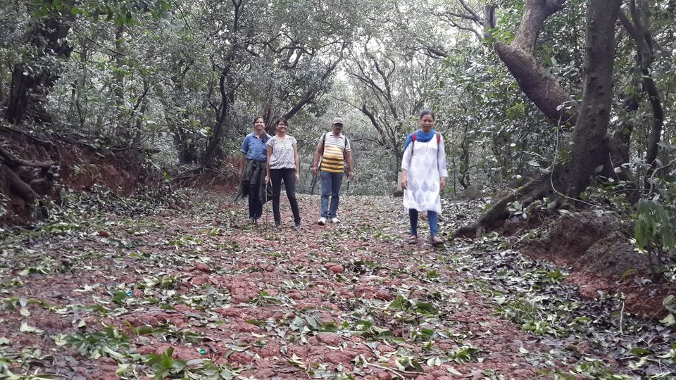 Photo of Matheran - Beautiful Valley 5/7 by Shakti Chauhan
