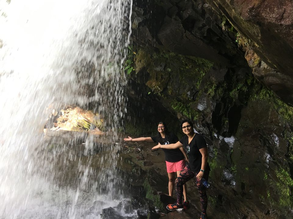 Photo of Grotto Falls Trail: The Incredible Walk-Behind Waterfall (Smoky Mountains) #travelguideUSA 7/7 by Shakti Chauhan