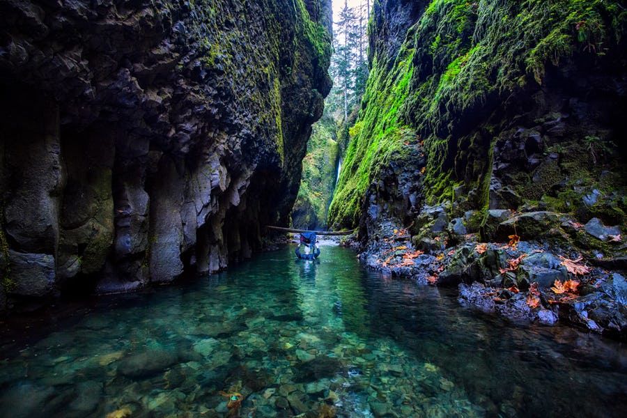 Photo of Oneonta Gorge, Multnomah County, OR, United States by Shakti Chauhan