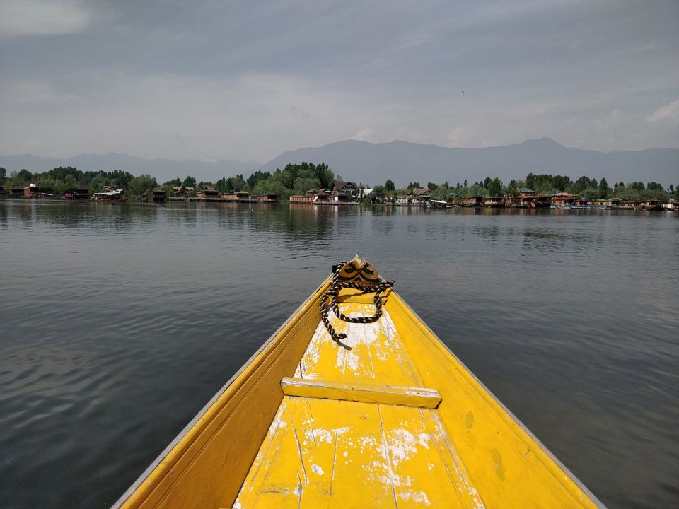 Photo of Kashmir You are Love 1/16 by Shakti Chauhan