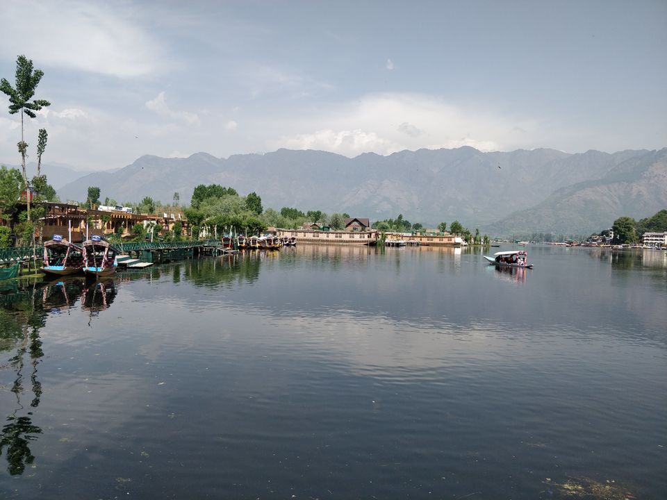 Photo of Kashmir You are Love 2/16 by Shakti Chauhan