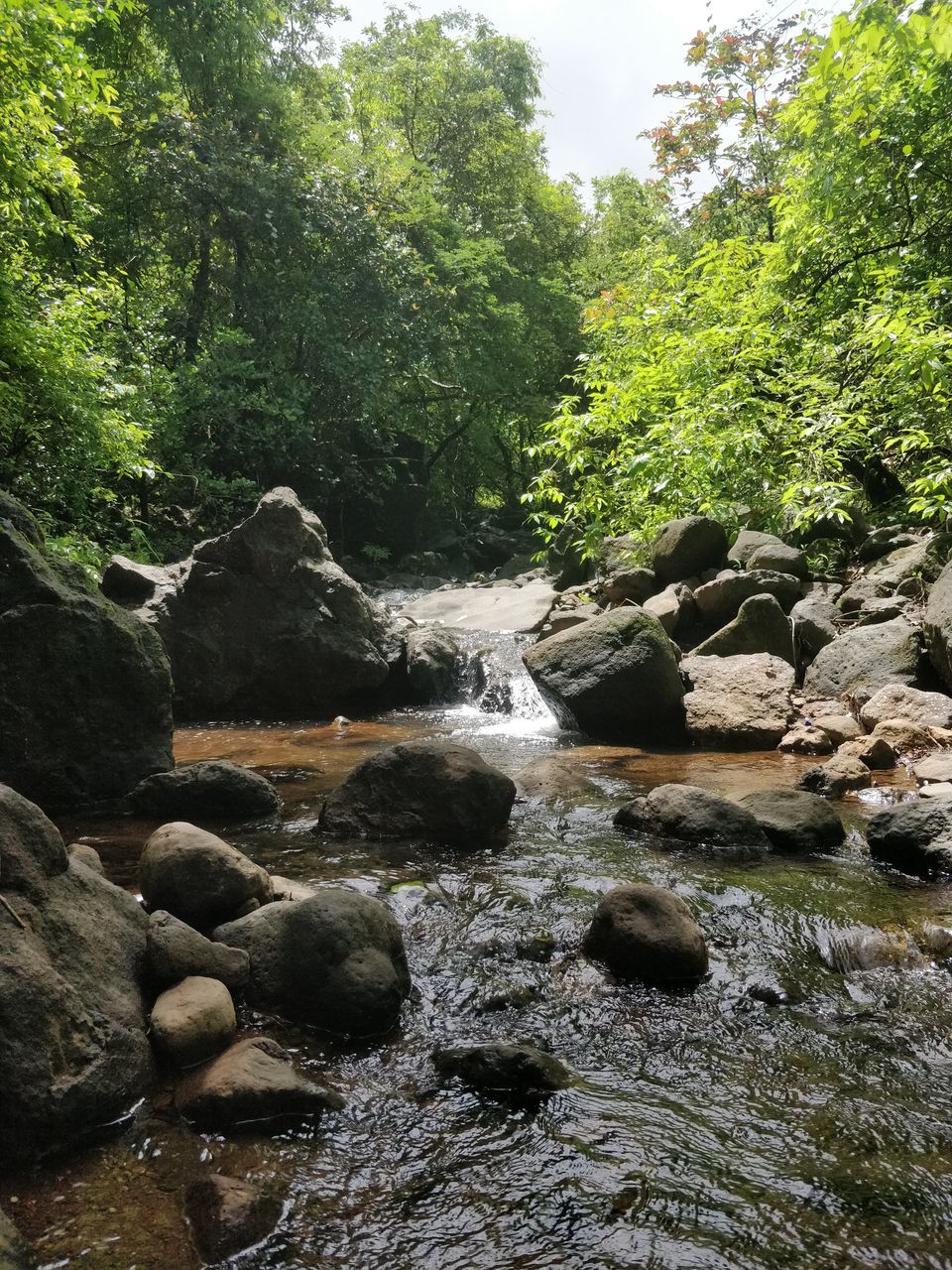 Photo of Devkund Waterfall - Not hidden anymore by Shakti Chauhan