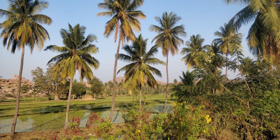 Photo of Hampi - A delight for Architecture Lovers 9/19 by Shakti Chauhan