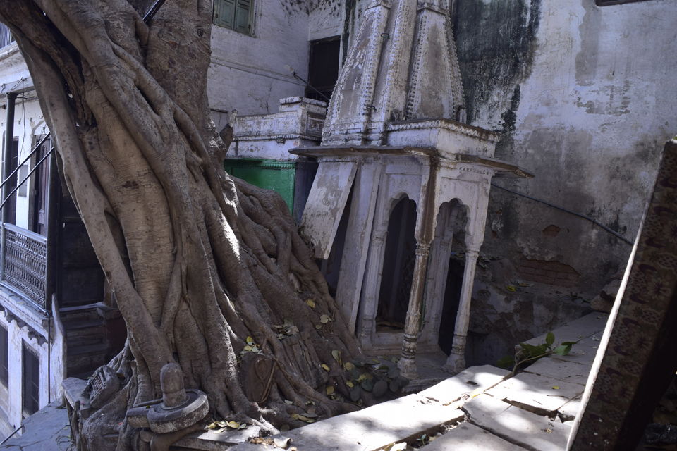 Photo of A particular day in Banaras&nbsp; 3/18 by Mohit Saini