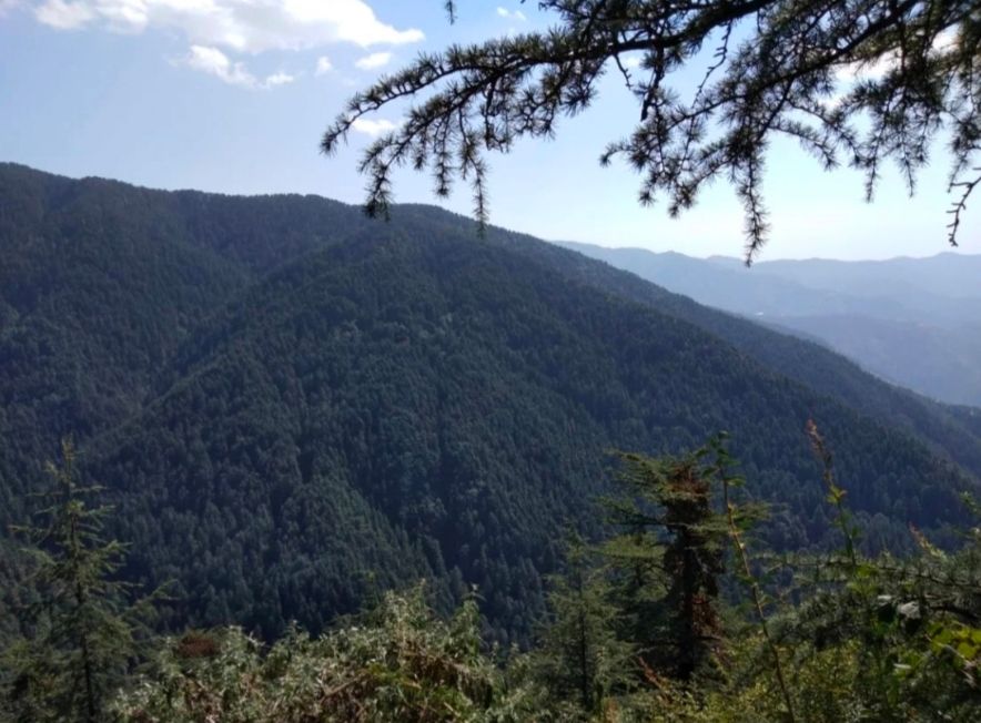 Photo of Incredible Himachal – Shimmering Shimla|Majestic Manali|Mesmerizing Kullu by Arghadipa Chakraborty