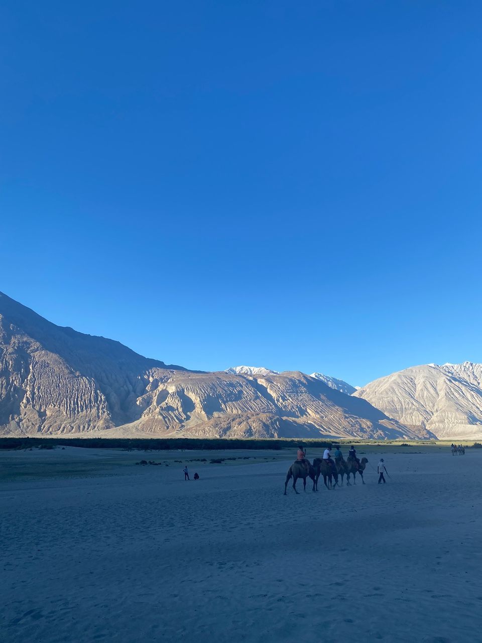 Photo of Nubra Valley by Arjun