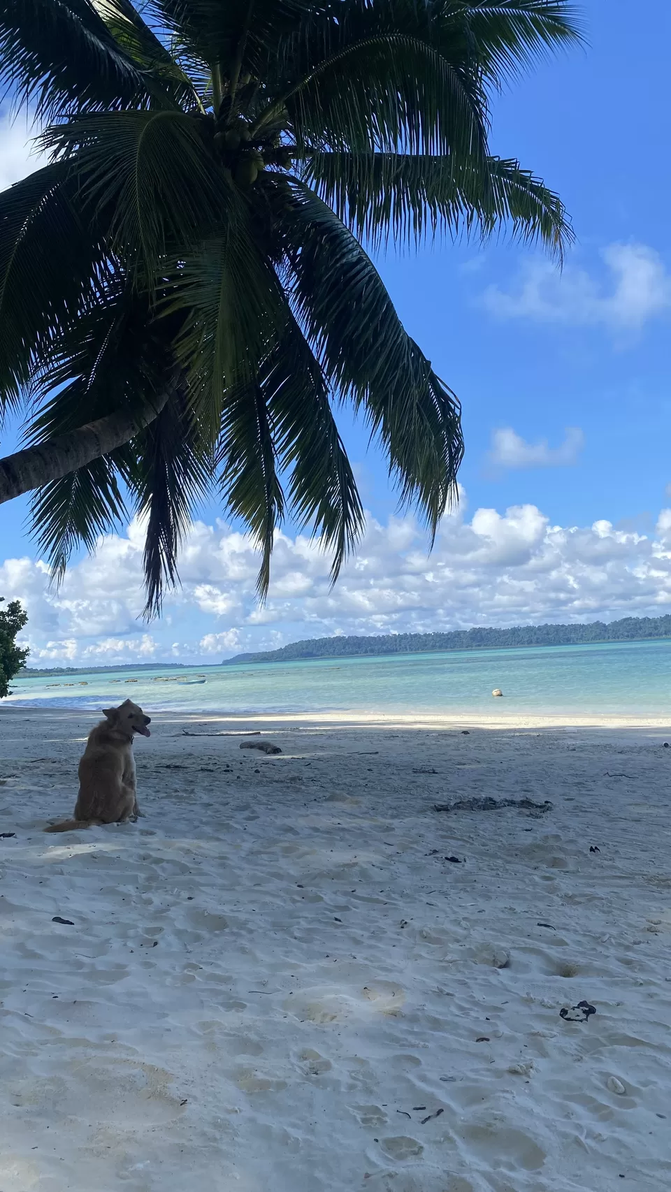 Photo of An indelible trip to Andaman! by Arjun
