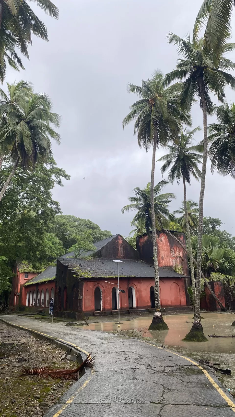 Photo of An indelible trip to Andaman! by Arjun
