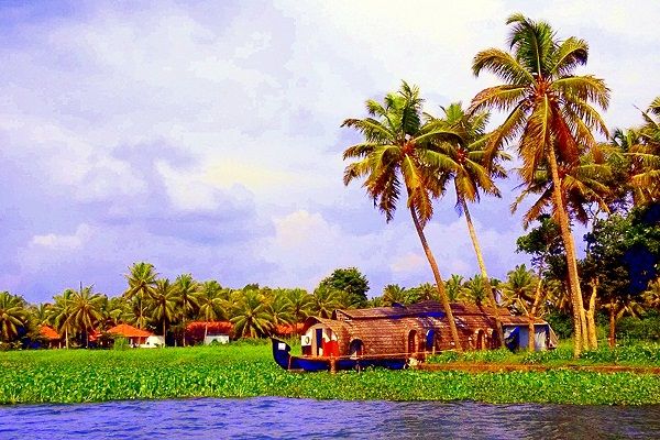 Photo of Why Kerala Should Be Your Next Holiday Destination 3/8 by Pooja