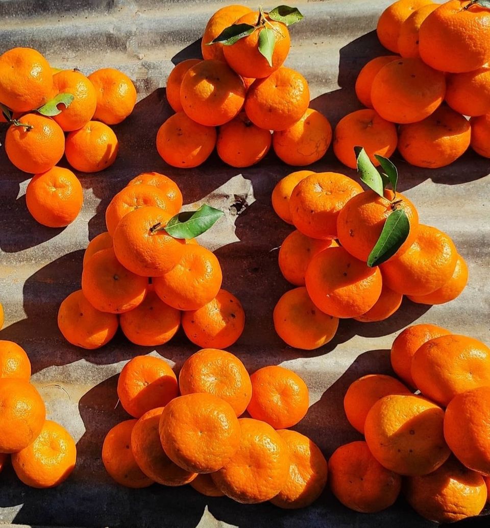 Photo of The Orange Valley - Dambuk by Shikha Duarah