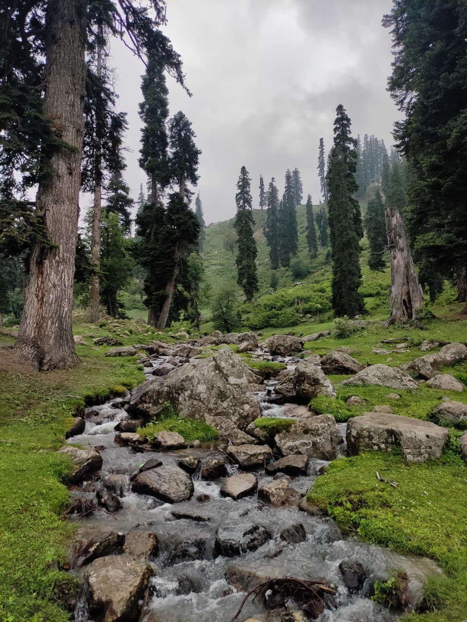Photo of Most loved Place by Suhail Sidiq