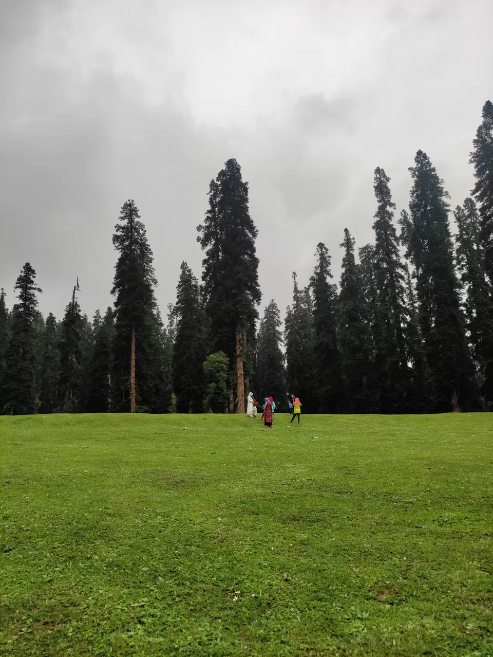 Photo of Most loved Place by Suhail Sidiq