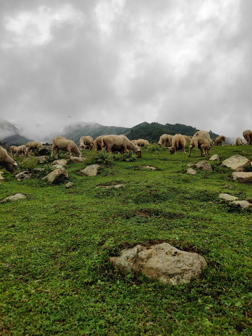Photo of Most loved Place by Suhail Sidiq