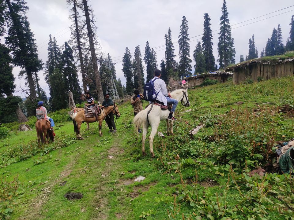 Photo of Most loved Place by Suhail Sidiq