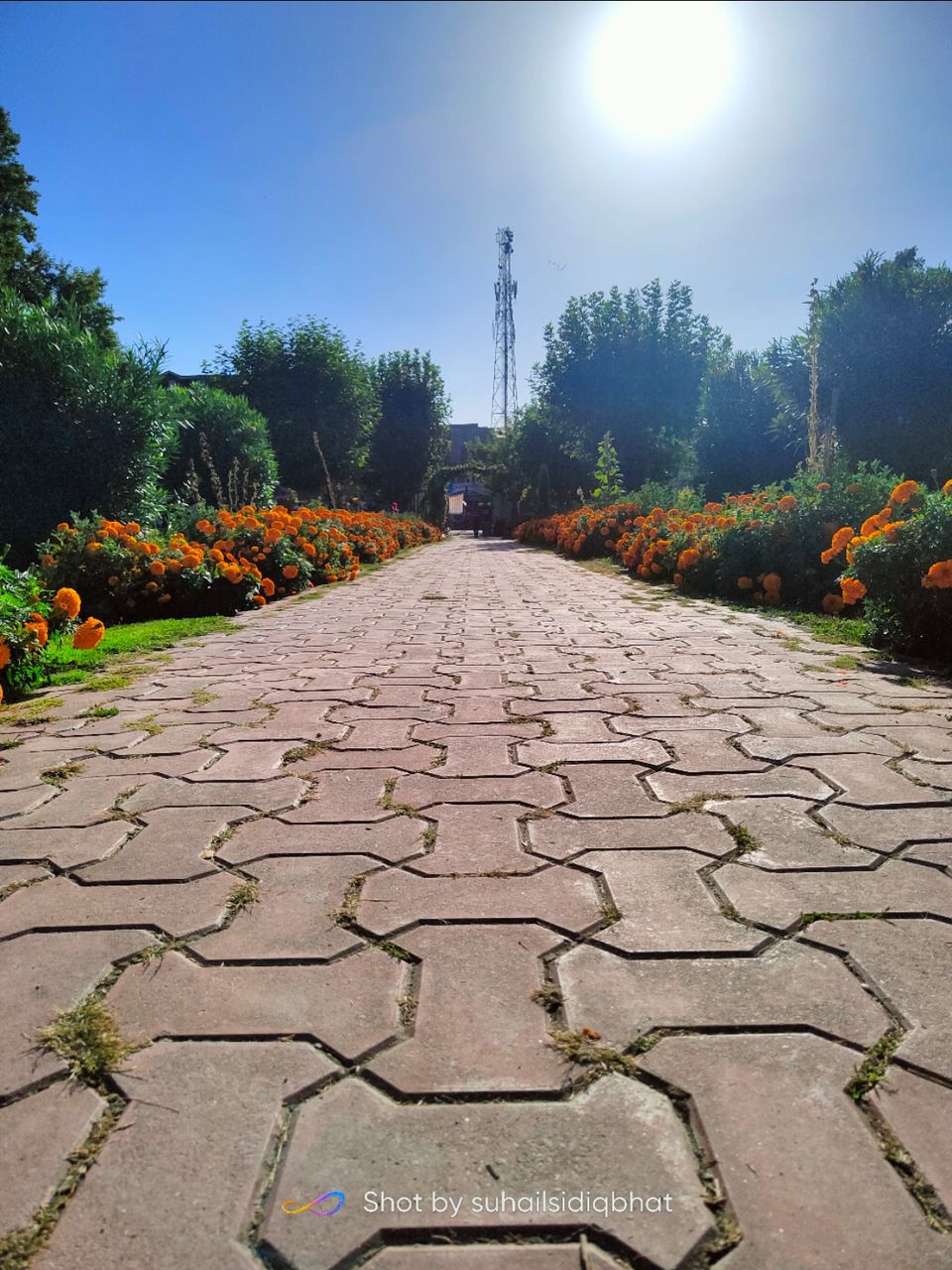 Photo of Ganderbal, Jammu Kashmir, India by Suhail Sidiq