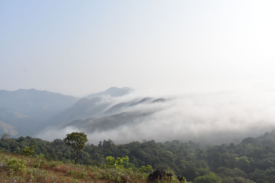 Photo of Blissful Chikkamagaluru 1/7 by Sachin Bhandary