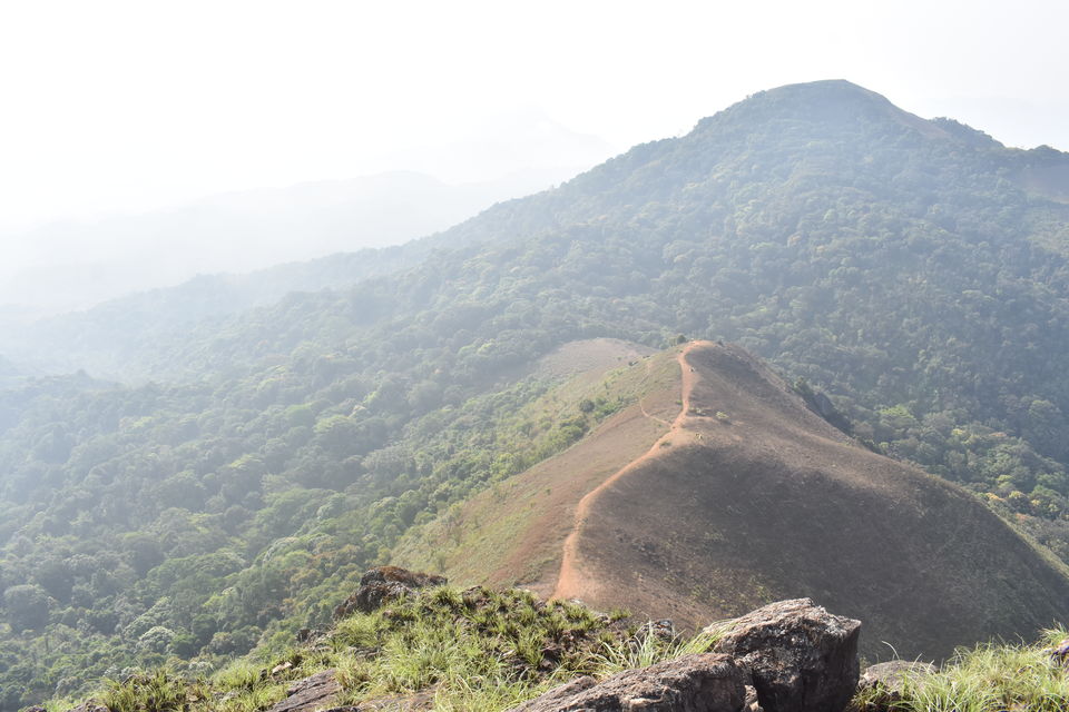 Photo of Blissful Chikkamagaluru 5/7 by Sachin Bhandary
