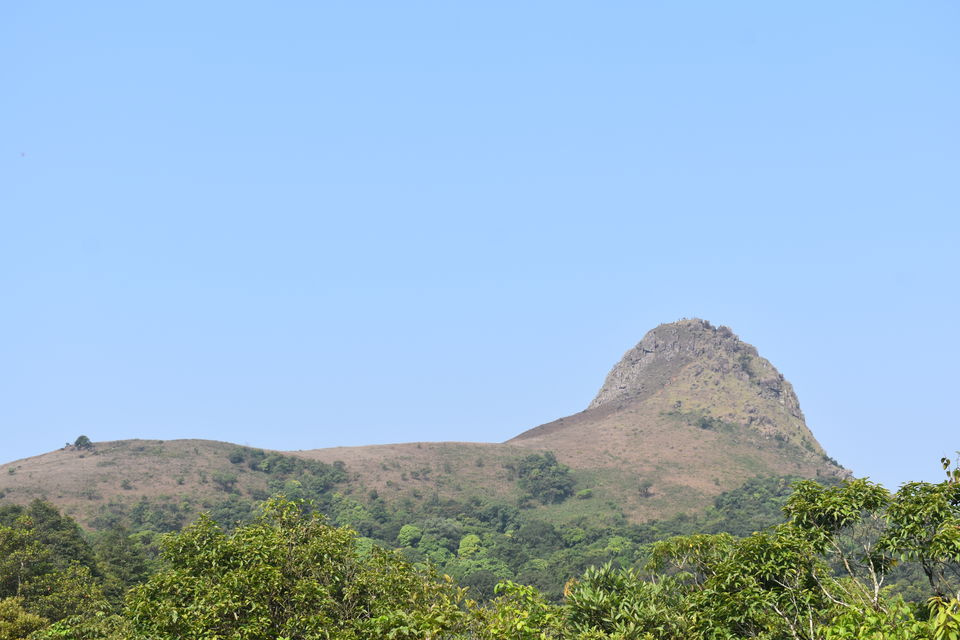Photo of Blissful Chikkamagaluru 6/7 by Sachin Bhandary
