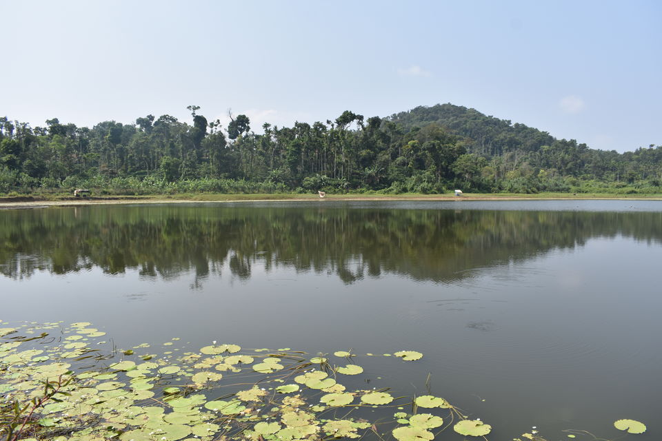 Photo of Blissful Chikkamagaluru 7/7 by Sachin Bhandary