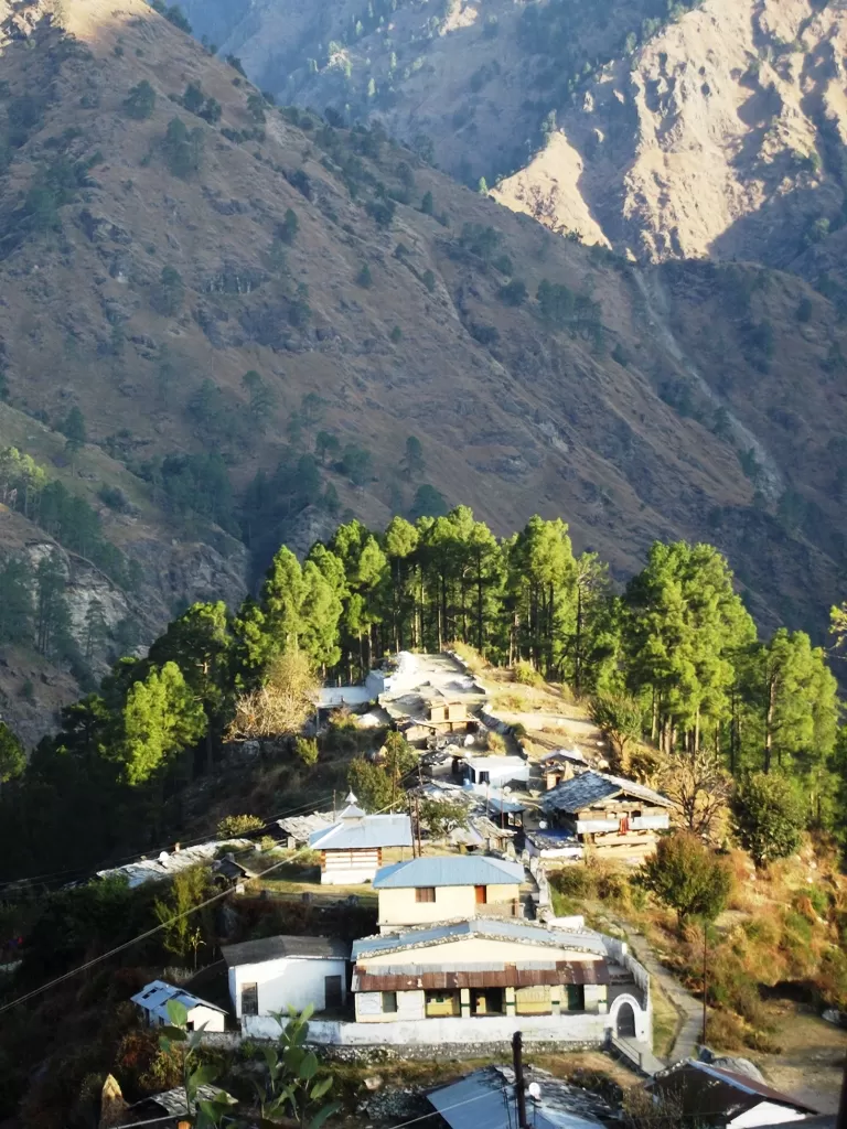 Photo of Sankri, Mori-Sankari Rd, Uttarakhand 249128, India by Shalini Rai