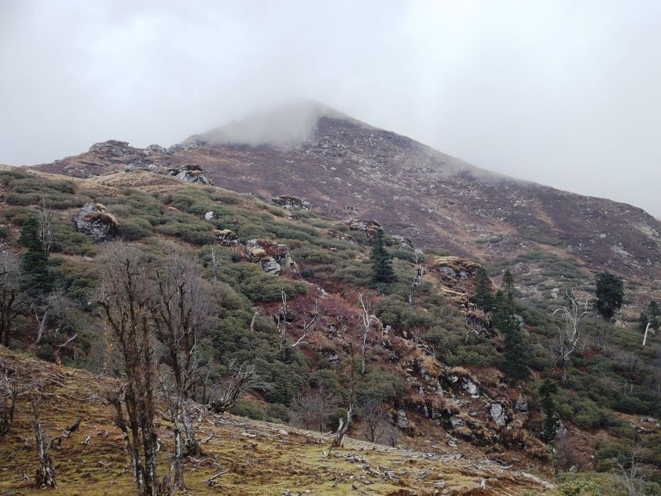 Photo of Kedarkantha Trek: Divinity in the Woods 11/11 by Shalini Rai