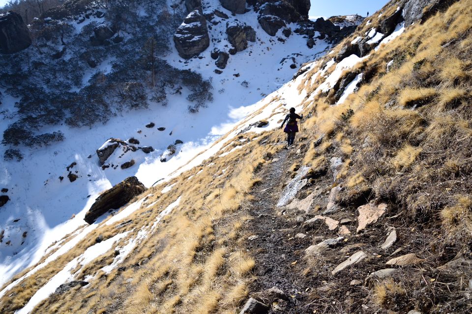 Photo of Kuari Pass: Where Eagles and a Few Brave Trekkers Dare 1/16 by Shalini Rai