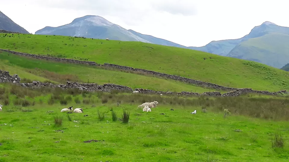Photo of Ben Nevis, United Kingdom by Shalini Rai