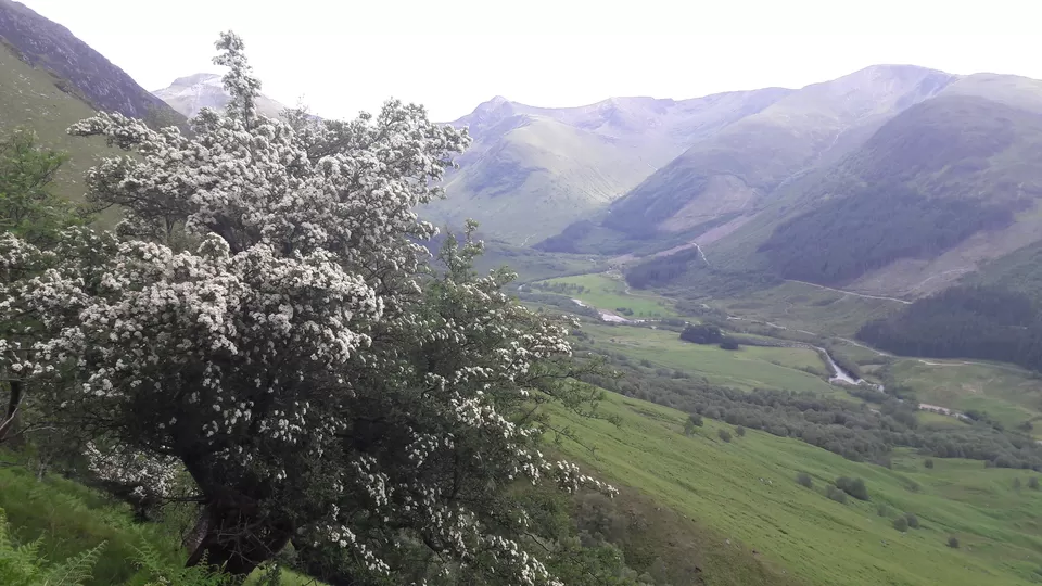 Photo of Ben Nevis, United Kingdom by Shalini Rai