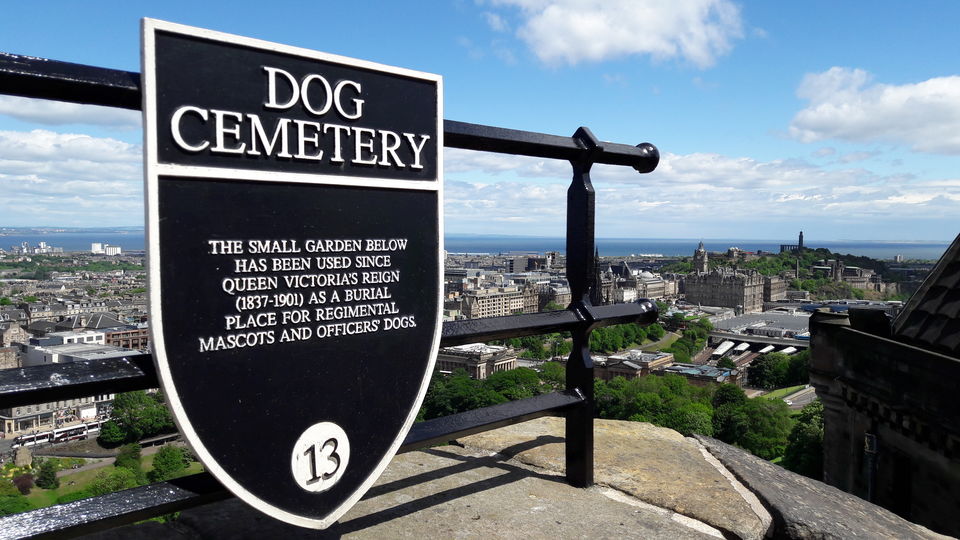 Photo of How I travelled solo around Scotland over 21 days for less than £50 per day 11/35 by Shalini Rai