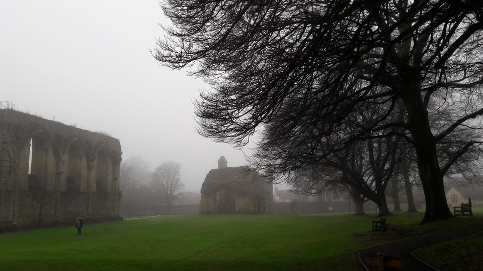Photo of Here's why you should go to Glastonbury, and no, it's not for the Festival by Shalini Rai