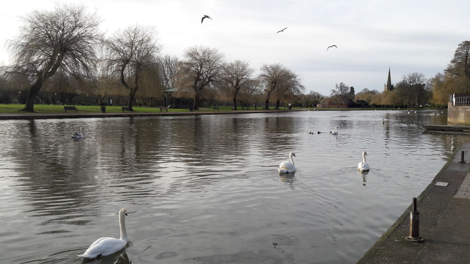 Photo of Stratford-upon-Avon: Where the Bard lives on and they even had a Swan Parade! 6/32 by Shalini Rai