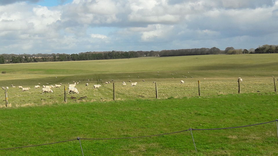 Photo of Stonehenge, Amesbury, United Kingdom by Shalini Rai