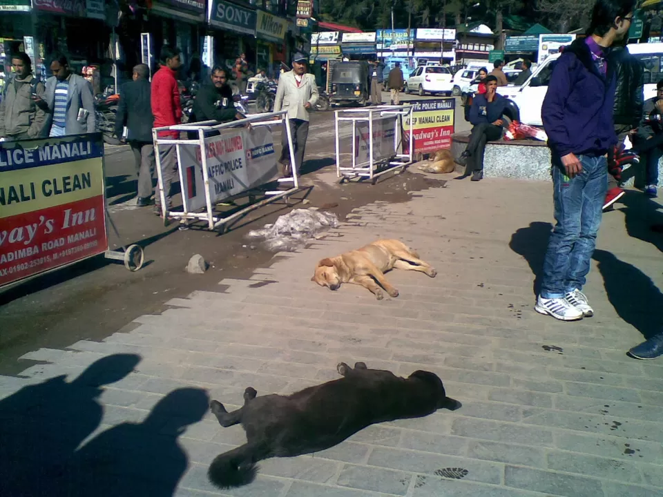 Photo of There's another, darker side to Manali, and it's all here. Read at your own risk! by Shalini Rai