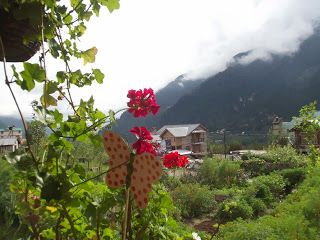 Photo of There's another, darker side to Manali, and it's all here. Read at your own risk! by Shalini Rai
