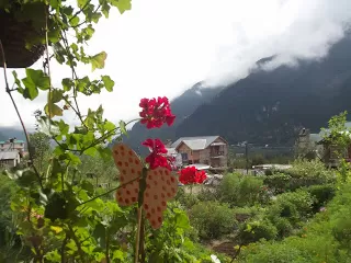 Photo of There's another, darker side to Manali, and it's all here. Read at your own risk! by Shalini Rai