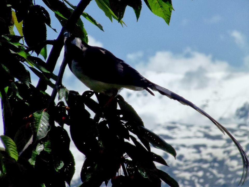 Photo of There's another, darker side to Manali, and it's all here. Read at your own risk! by Shalini Rai