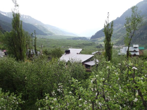 Photo of There's another, darker side to Manali, and it's all here. Read at your own risk! by Shalini Rai