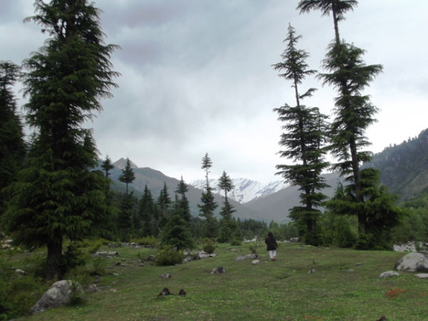 Photo of There's another, darker side to Manali, and it's all here. Read at your own risk! 1/1 by Shalini Rai