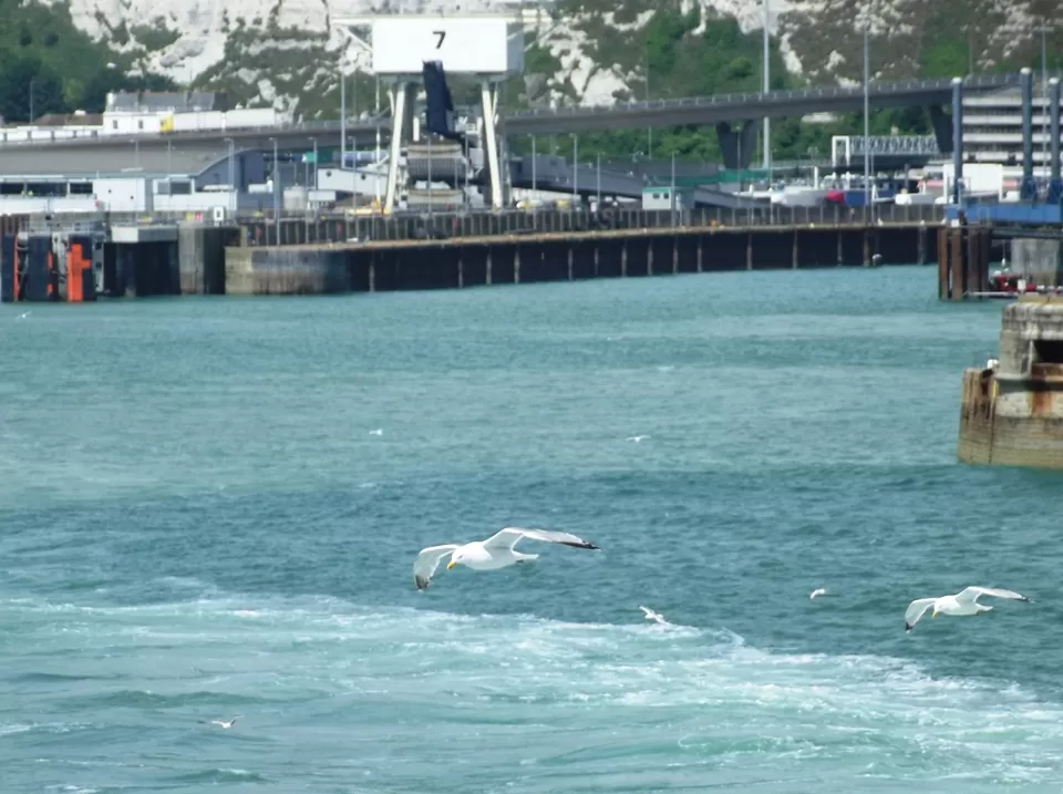 Photo of Dover, United Kingdom by Shalini Rai