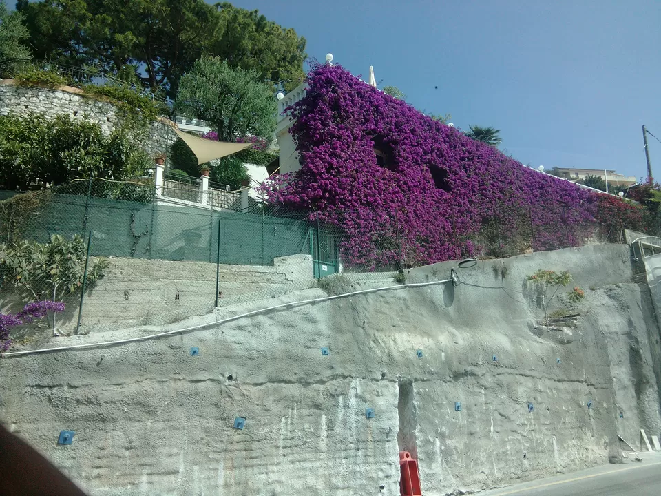 Photo of French Riviera, France by Shalini Rai