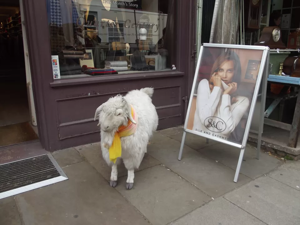 Photo of Notting Hill, London, United Kingdom by Shalini Rai