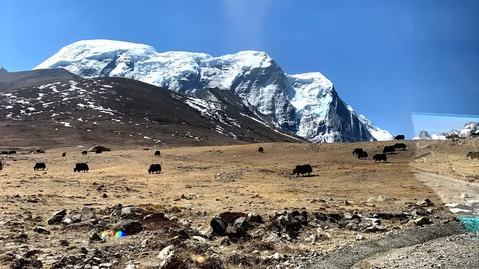 Photo of Gurudongmar Lake, Sikkim, India by #Thepoortraveller...
